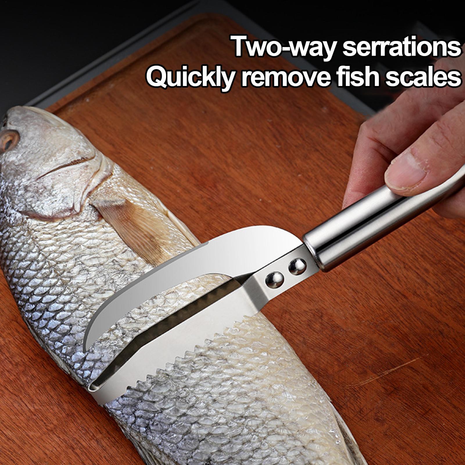 Pisau Pengupas Sisik Ikan, Pen - Kitchen Gadgets That Are Useful ulasan dan harga